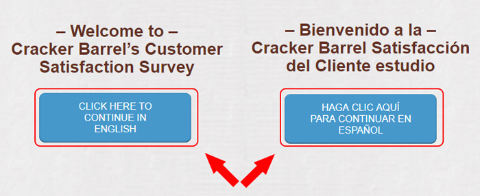 cracker barrel survey